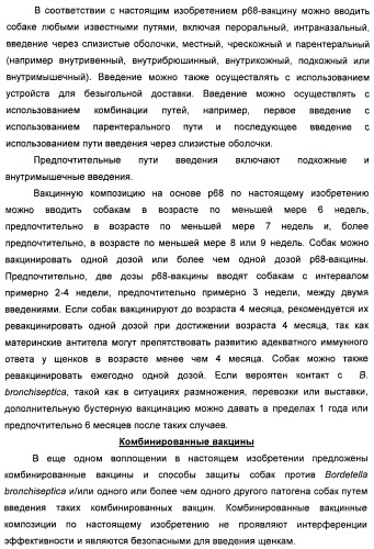 Поливалентные вакцины для собак против leptospira bratislava и других патогенов (патент 2400248)