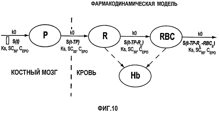 Фармакокинетическое и фармакодинамическое моделирование введения эритропоэтина (патент 2248215)