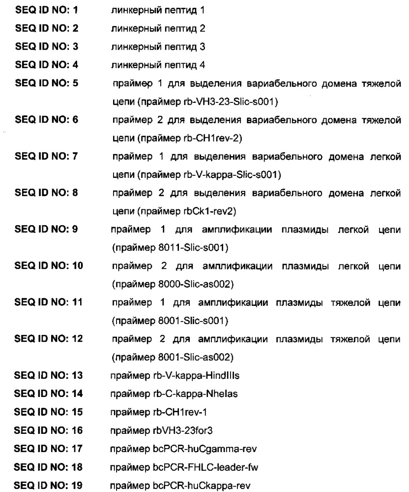 Быстрый способ клонирования и экспрессии сегментов гена родственной вариабельной области антитела (патент 2612910)