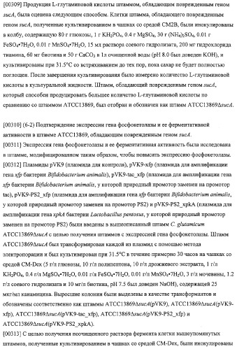 Использование фосфокетолазы для продукции полезных метаболитов (патент 2322496)