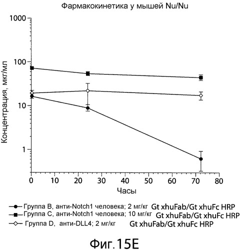 Антитела против nrr notch1 и способы их применения (патент 2476443)