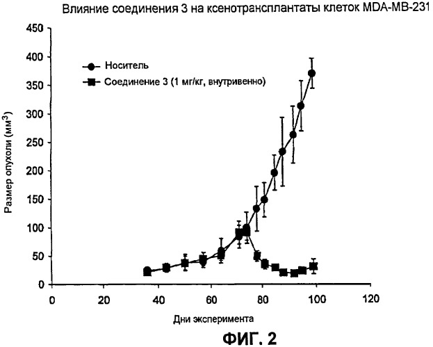 Соединения, связывающие домен bir белков iap (патент 2472780)