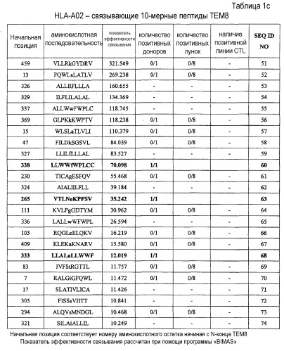 Пептиды тем8 и содержащие их вакцины (патент 2498993)