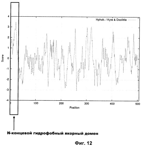 Растения, имеющие улучшенные характеристики роста, и способы их получения (патент 2463352)