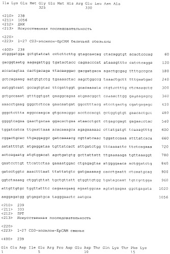 Pscaxcd3, cd19xcd3, c-metxcd3, эндосиалинxcd3, epcamxcd3, igf-1rxcd3 или fap-альфаxcd3 биспецифическое одноцепочечное антитело с межвидовой специфичностью (патент 2547600)