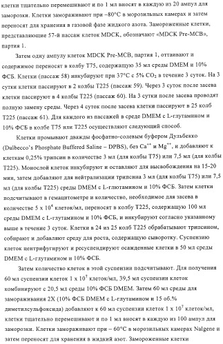 Линии клеток почки собаки майдин-дэрби (mdck), поддерживающие рост вирусов до высоких титров, и способ применения этих клеток в биореакторе (патент 2487935)