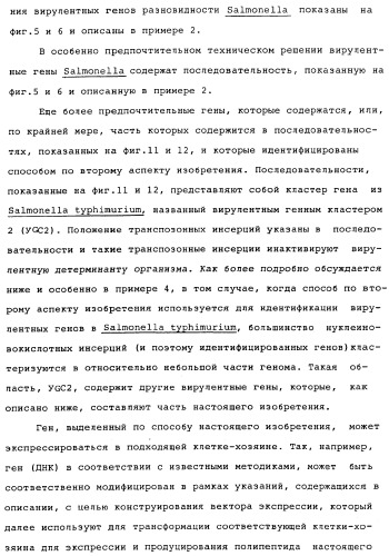 Vgc2 днк salmonella typhimurium, мутантная бактерия, обладающая пониженной способностью к адаптации к условиям окружающей среды, и способ ее получения (патент 2370541)