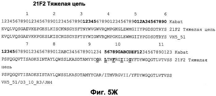 Антитела к человеческому nkg2d и их применения (патент 2563343)