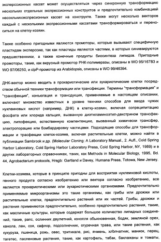 Способ получения полиненасыщенных кислот жирного ряда в трансгенных организмах (патент 2447147)