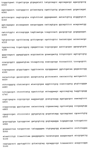 Антитела к рецептору конечных продуктов глубокого гликирования (rage) и их применения (патент 2518351)