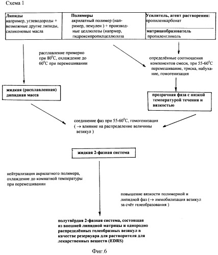 Безводная многофазная гелевая система (патент 2429815)