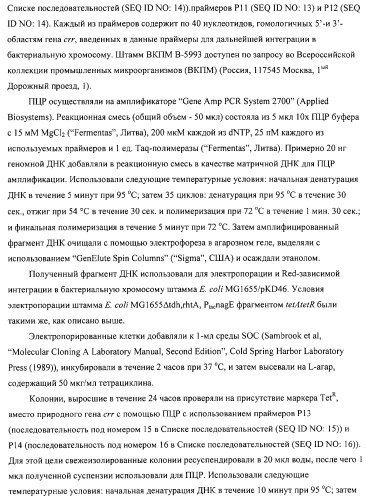 Способ получения l-аминокислот с использованием бактерии, принадлежащей к роду escherichia (патент 2312893)