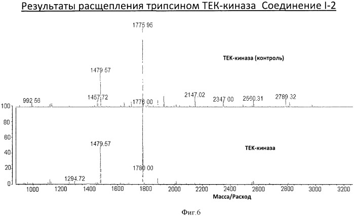 Гетероарильные соединения и их применение (патент 2536584)