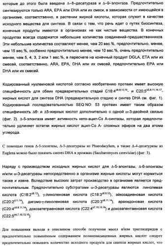 Способ получения полиненасыщенных кислот жирного ряда в трансгенных организмах (патент 2447147)