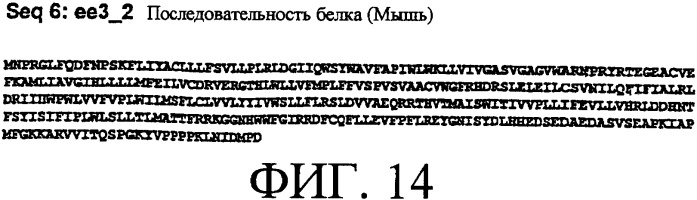 Ее3-семейство белков и соответствующие днк-последовательности (патент 2333918)