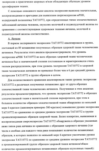 Композиции и способы диагностики и лечения опухоли (патент 2430112)