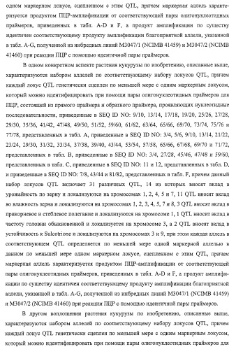 Новые растения кукурузы (патент 2423528)