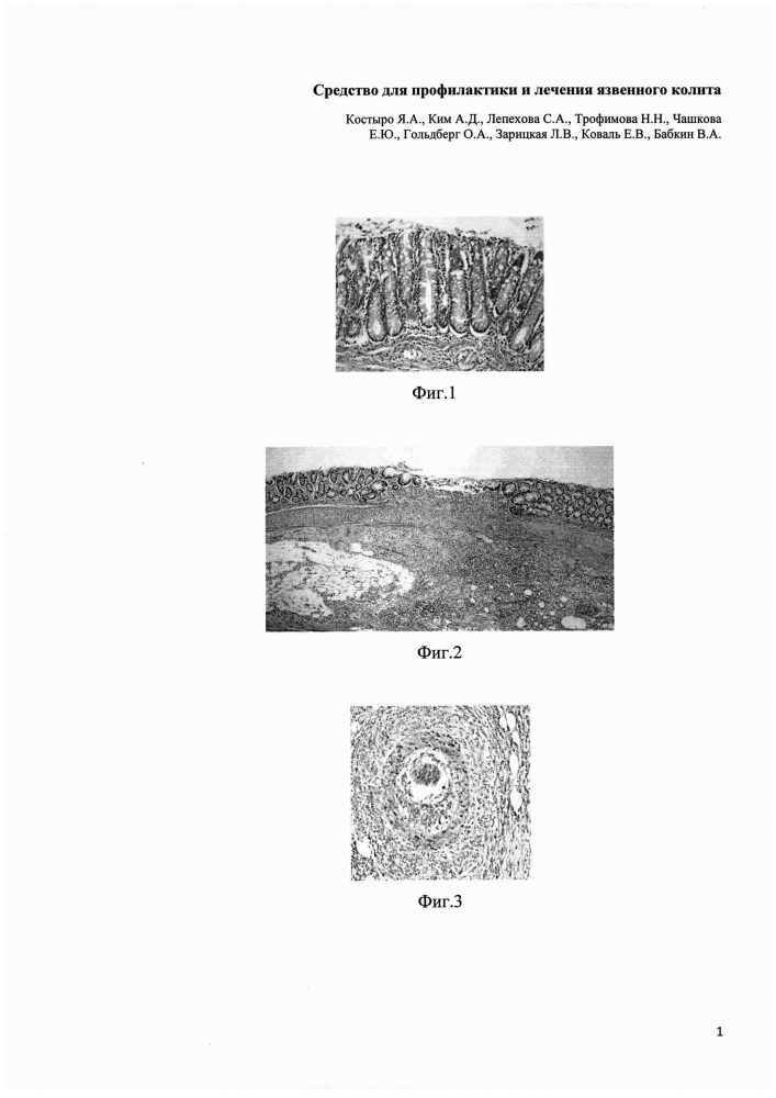 Средство для профилактики и лечения язвенного колита (патент 2649119)