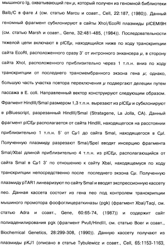 Человеческие моноклональные антитела к рецептору эпидермального фактора роста (egfr), способ их получения и их использование, гибридома, трансфектома, трансгенное животное, экспрессионный вектор (патент 2335507)