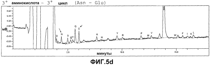 Внеклеточная гиалуронидаза из streptomyces koganeiensis (патент 2553205)