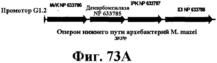 Композиции и способы получения изопрена (патент 2545699)