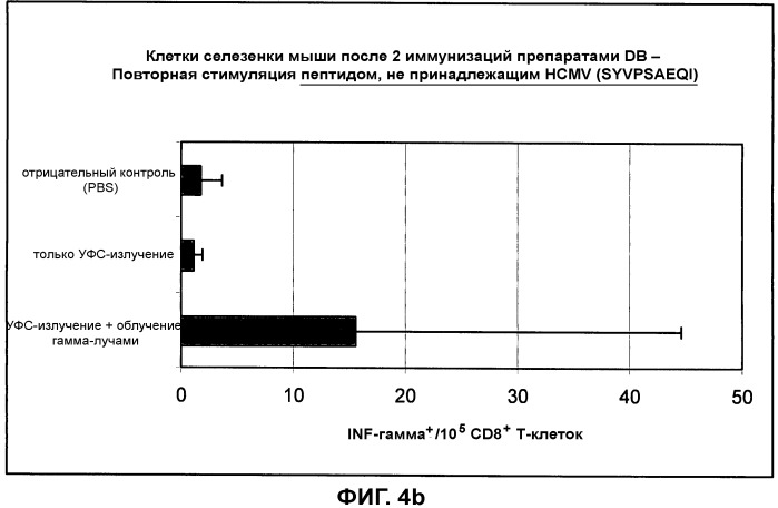 Композиция, содержащая частицы hcmv (патент 2505314)