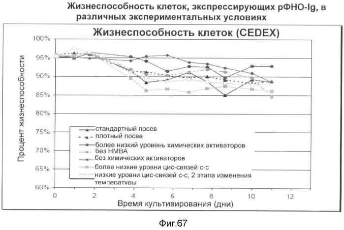 Получение рекомбинантного белка pфно-lg (патент 2458988)