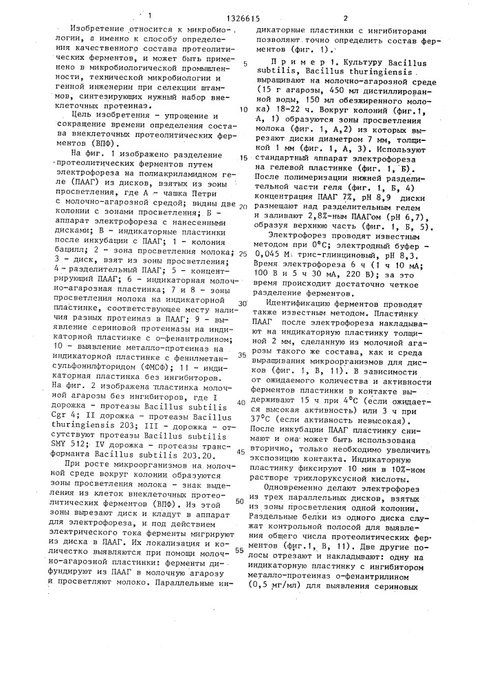 Способ определения качественного состава внеклеточных протеолитических ферментов бацилл (патент 1326615)