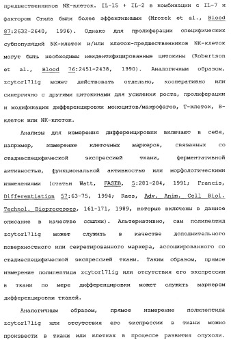 Новый лиганд рецептора цитокина zcytor17 (патент 2360923)
