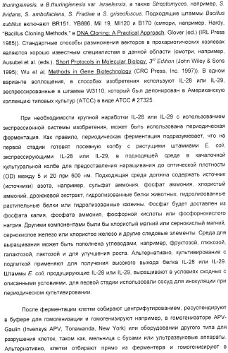 Применение il-28 и il-29 для лечения карциномы и аутоиммунных нарушений (патент 2389502)