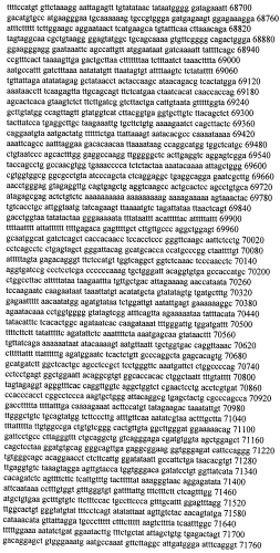 Модуляция экспрессии гентингтина (патент 2562861)