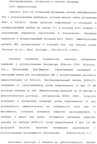 Scfv против egfrviii с улучшенной цитотоксичностью и выходом, иммунотоксины на их основе и способы их применения (патент 2317999)