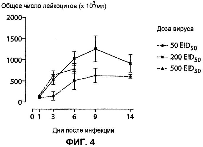 Полумягкие иммуностимулирующие олигонуклеотиды с-класса (патент 2393223)