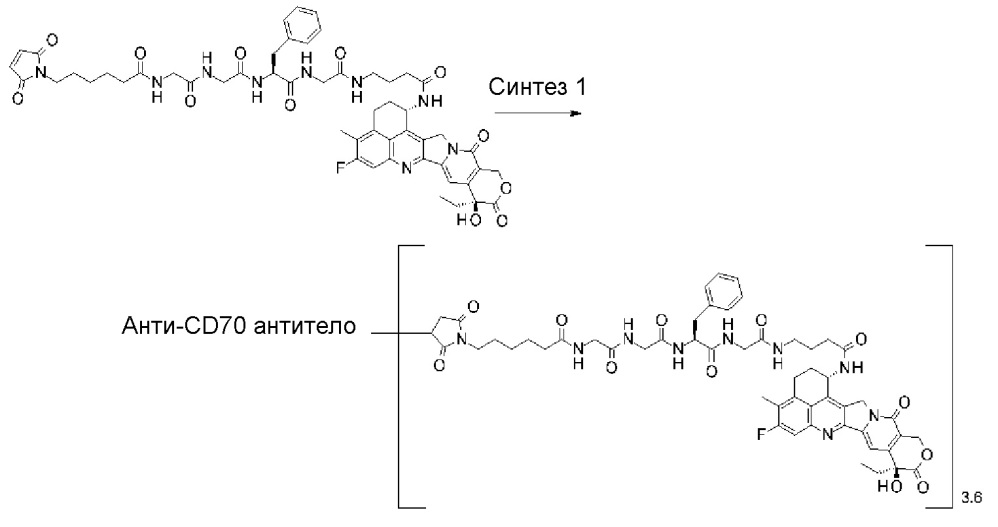 Конъюгат антитело-лекарственное средство (патент 2664465)