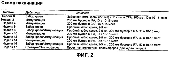 Вакцины и компоненты вакцин для подавления микробных клеток (патент 2528854)