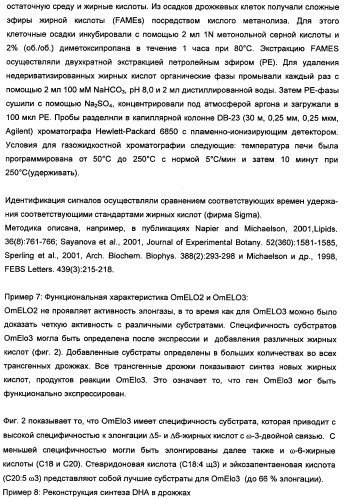 Способ получения полиненасыщенных кислот жирного ряда в трансгенных организмах (патент 2447147)