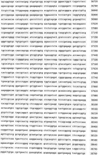Бактериофаг, обладающий активностью против pseudomonas aeruginosa, белки бактериофага и способы их применения (патент 2580248)