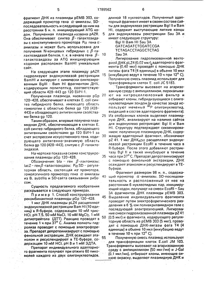 Рекомбинатная плазмидная днк pgp 120 - 428, кодирующая гибридный белок с антигенными свойствами белка @ р 120 вич- 1 (патент 1789562)