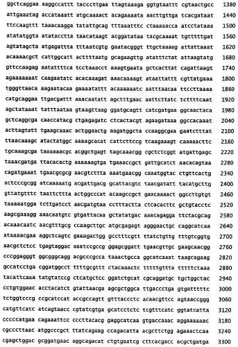 Ферментативное получение четырехуглеродных спиртов (патент 2394913)