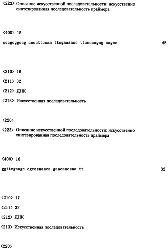 Ген синтеза клеточной стенки грибков (патент 2286387)