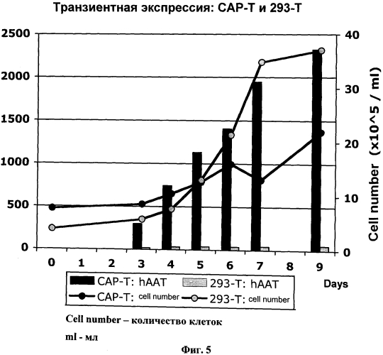 Новая постоянная линия клеток человека (патент 2569181)
