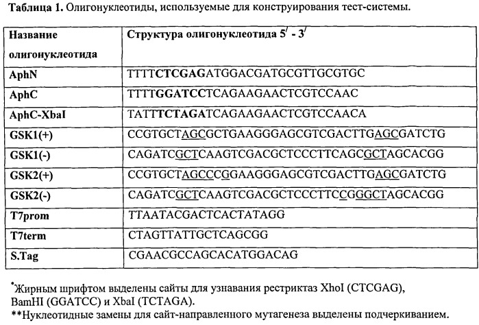 Тест-система для скрининга ингибиторов протеинкиназы gsk3β; человека (патент 2528059)