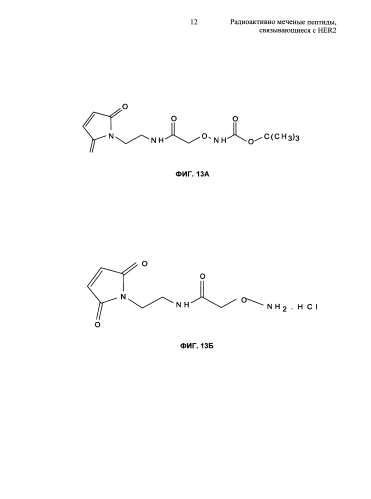 Радиоактивно меченые пептиды, связывающиеся с her2 (патент 2592685)