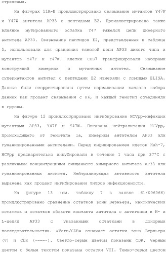 Антитела против вируса гепатита с (патент 2462475)
