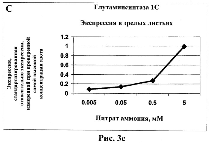 Изолированные полипептиды, кодирующие их полинуклеотиды, экспрессирующие их трансгенные растения и способы их использования (патент 2487166)
