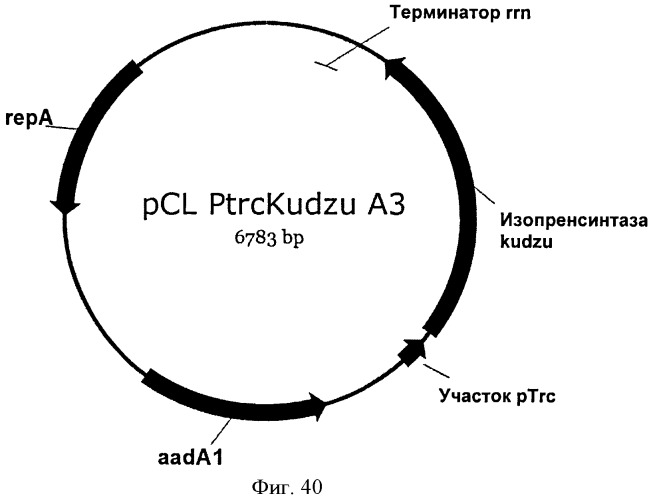 Топливные композиции, содержащие производные изопрена (патент 2531623)