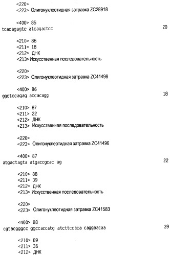 Новый лиганд рецептора цитокина zcytor17 (патент 2490276)