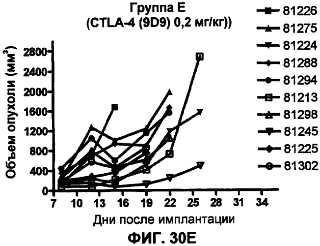 Моноклональные антитела человека к белку программируемой смерти 1 (pd-1) и способы лечения рака с использованием анти-pd-1-антител самостоятельно или в комбинации с другими иммунотерапевтическими средствами (патент 2406760)