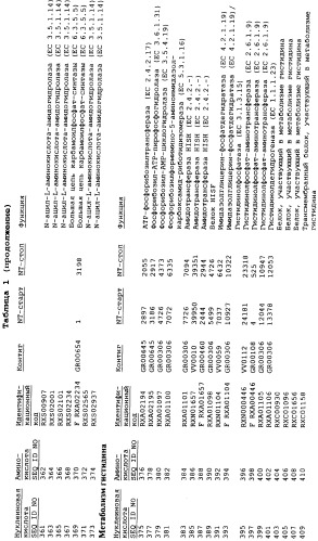 Гены corynebacterium glutamicum, кодирующие белки метаболических путей (патент 2306339)