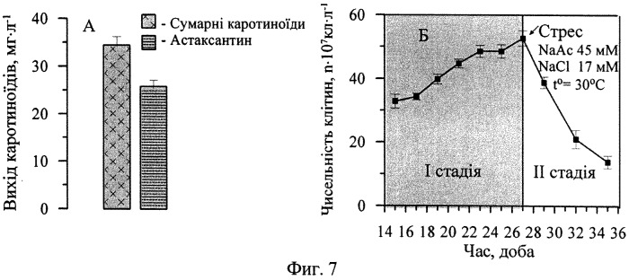 Способ культивирования одноклеточной зеленой водоросли haematococcus pluvialis для получения астаксантина (патент 2541455)